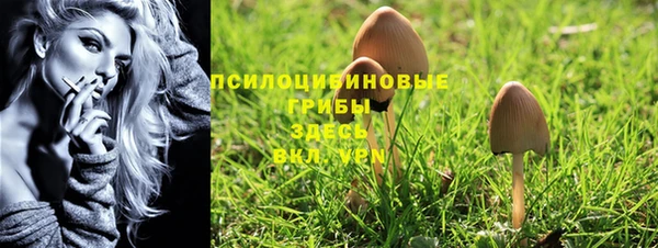 стафф Белоозёрский