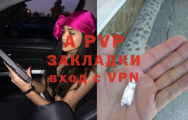 скорость Белокуриха